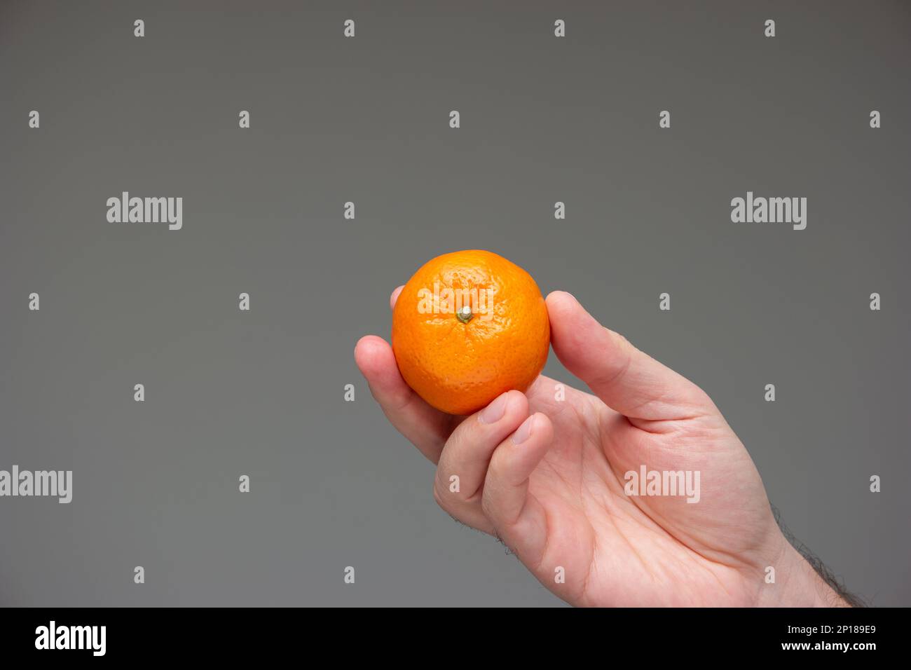 Single aus frischer roher MandarinenClementine in der Hand gehalten von weißem Mann isoliert auf grauem Hintergrund-Studio-Aufnahme. Stockfoto