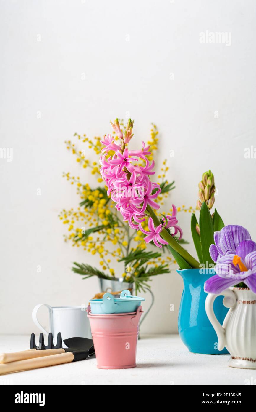 Frühlingshintergrund mit Gartenwerkzeugen Blumen Kopierraum Stockfoto