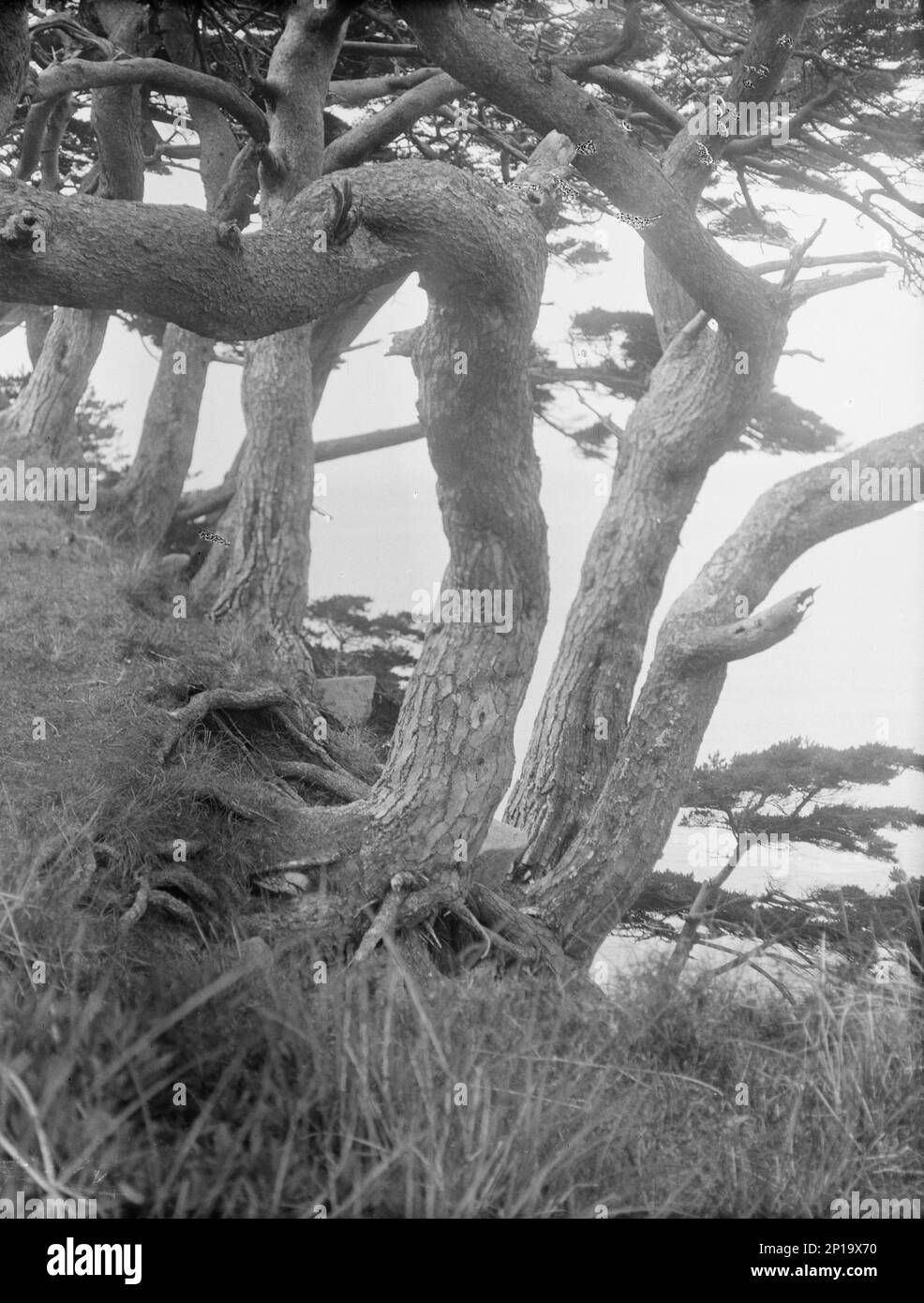 Reiseansichten von Japan und Korea, 1908. Stockfoto