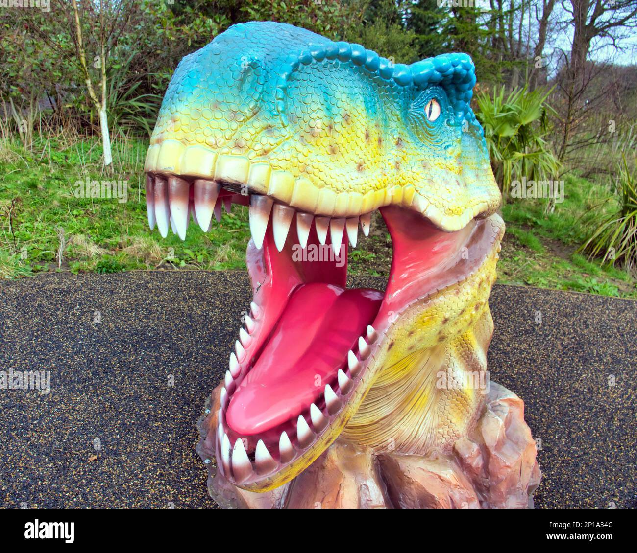 t rex Spielplatz lebensechter Spielzeugkopf für Selfies, die durchschauen Stockfoto