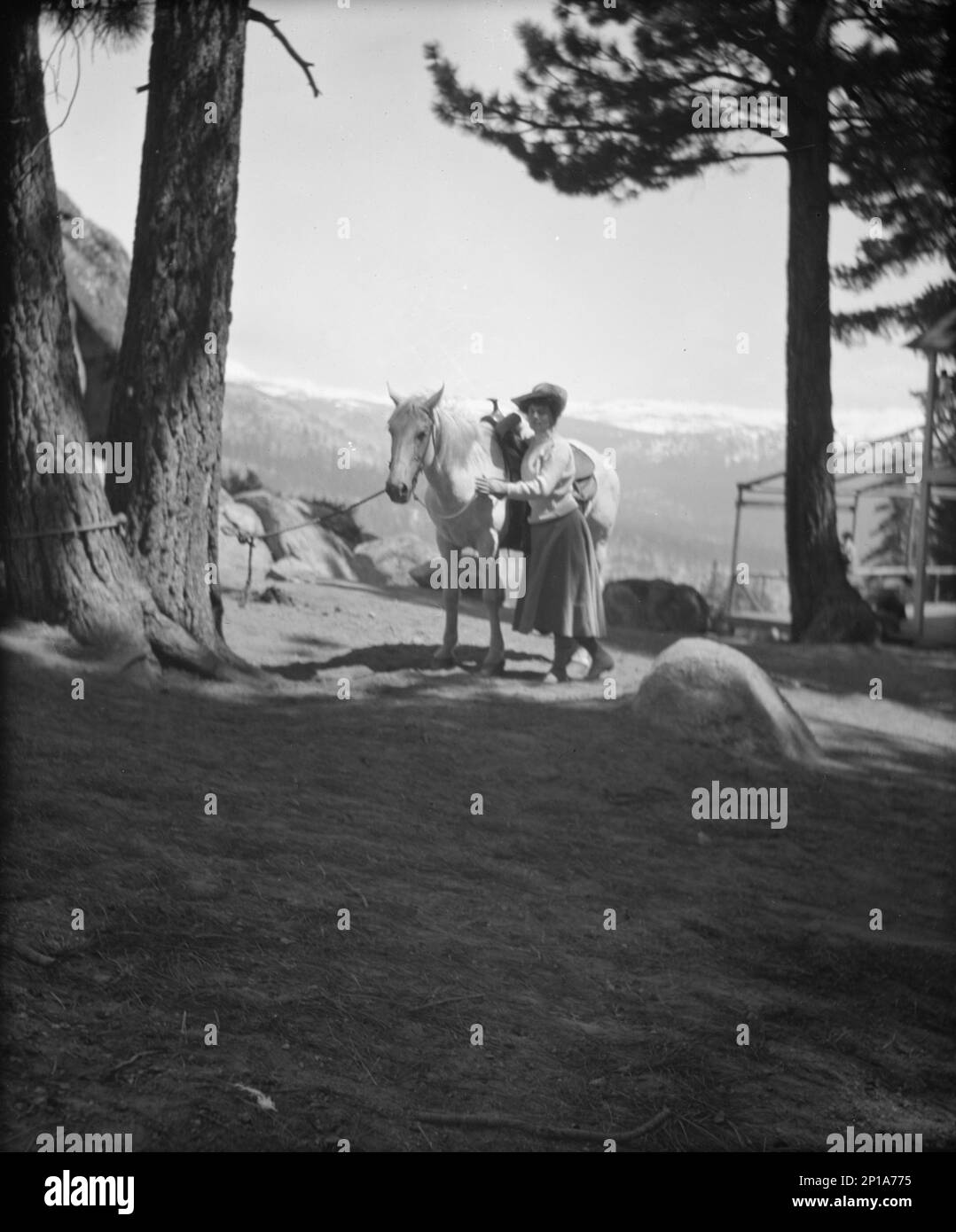 Genießen Sie den Blick auf den Yosemite-Nationalpark zwischen 1903 und 1906 Uhr. Stockfoto