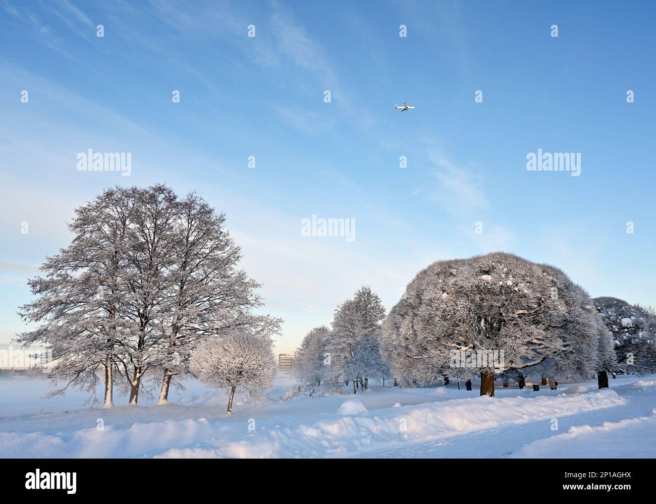 Wunderschöne Winterlandschaft im Park an einem sonnigen Tag, Flugzeug am blauen Himmel, Bäume und Büsche mit Schnee bedeckt Stockfoto