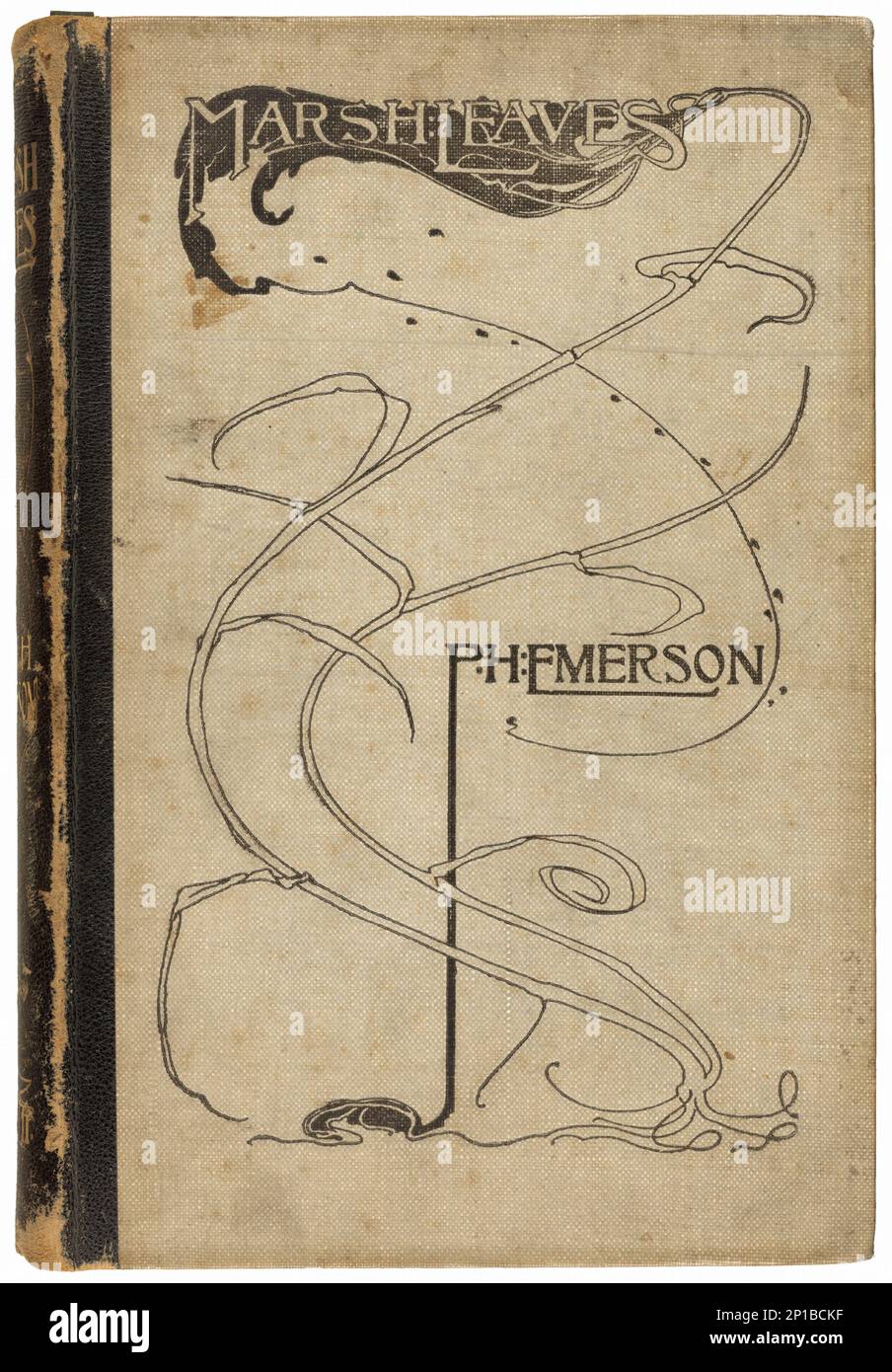 Marsh Leaves, veröffentlicht 1895. Stockfoto