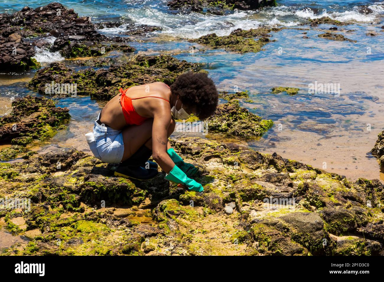 Salvador, Bahia, Brasilien - 27. Oktober 2019: Ein Freiwilliger wird gesehen, wie er den Strand von Rio Vermelho aufräumt, nachdem er von einem Schiff vor der brasilianischen Küste Öl verschüttet hatte. S Stockfoto