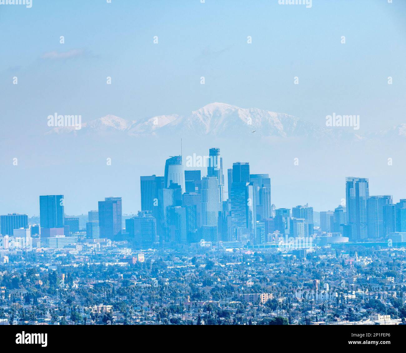 3. März 2023, Los Angeles, CA, USA: Ein Blick auf die Innenstadt VON LOS Angeles mit dem schneebedeckten Gipfel des Mount Baldy und den San Gabriel Mountains dahinter, in Los Angeles, Stockfoto