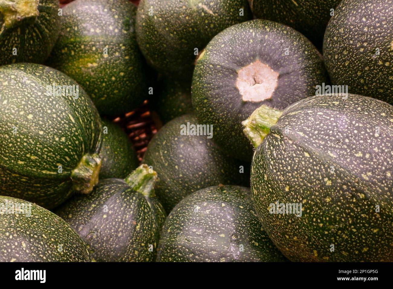 Clouse-up auf einem Stapel von runden Zucchinis (Cucurbita pepo) in einem Korb Stockfoto