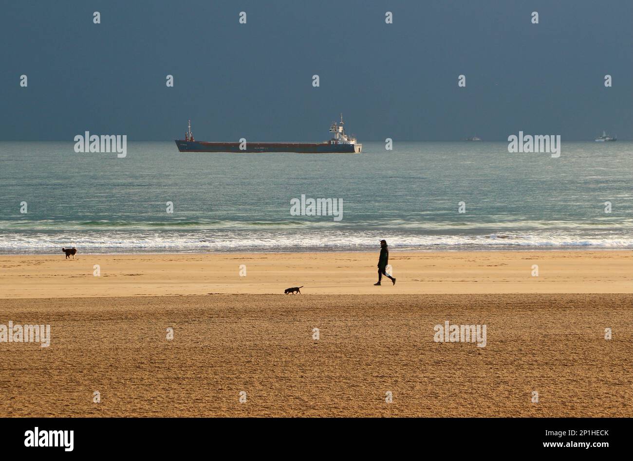 Hundegang am Strand an einem Wintermorgen mit dem General Cargo Schiff HAV Marlin vor Anker, das darauf wartet, in den Hafen Sardinero Santander Cantabria Spanien zu fahren Stockfoto