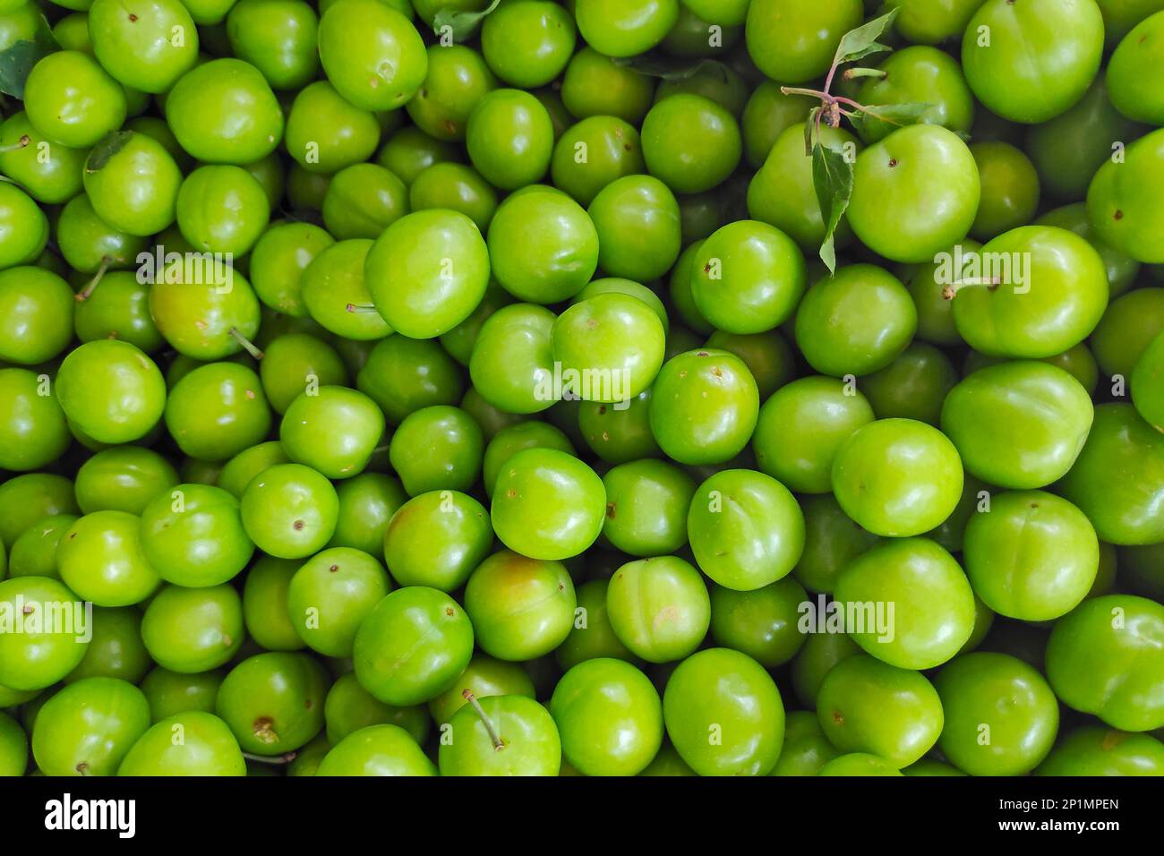 Nahaufnahme eines Stapels saurer grüner Pflaumen auf einem Marktstand. Stockfoto