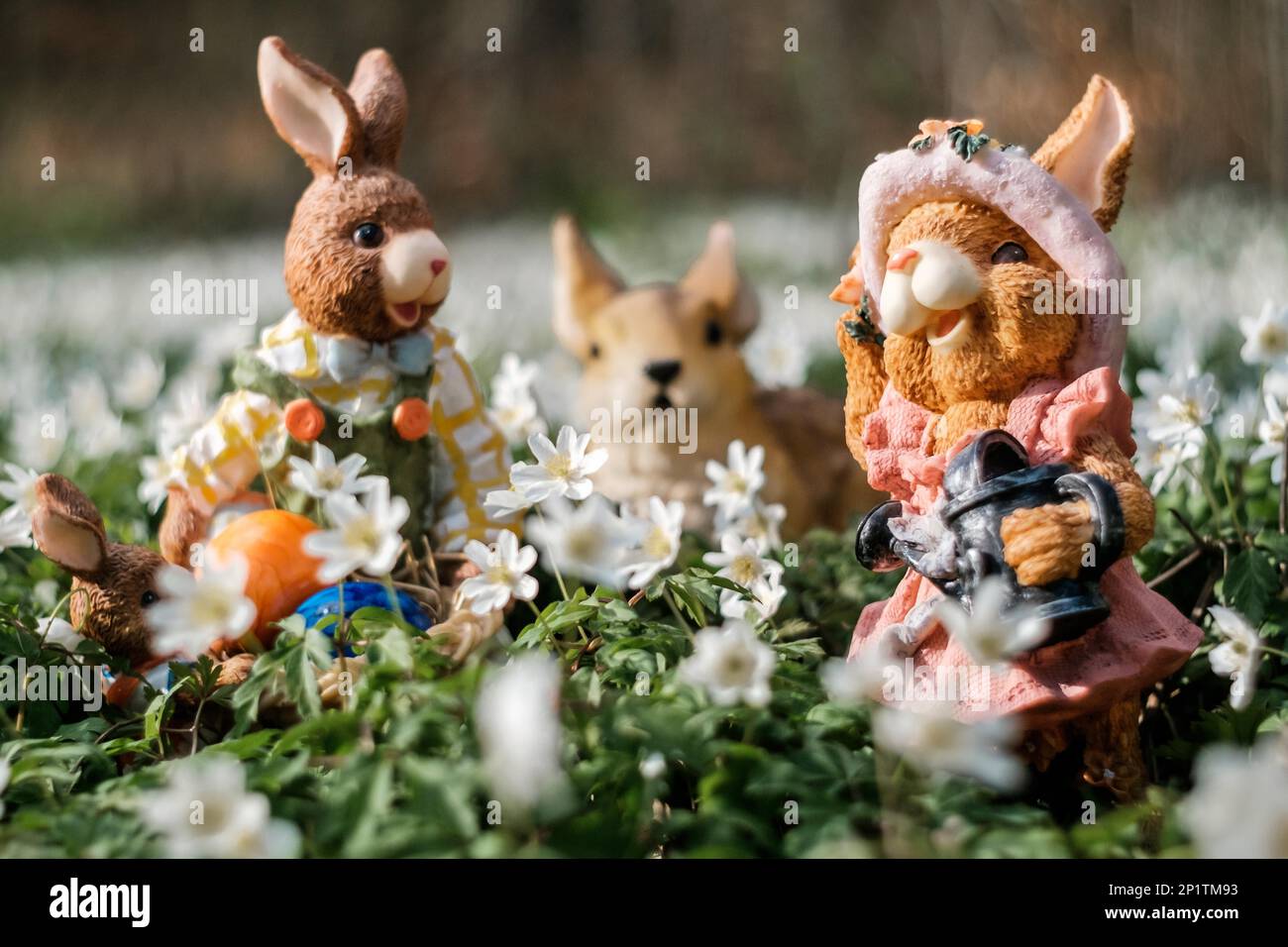 Ostermotiv mit Osterhasen Stockfoto