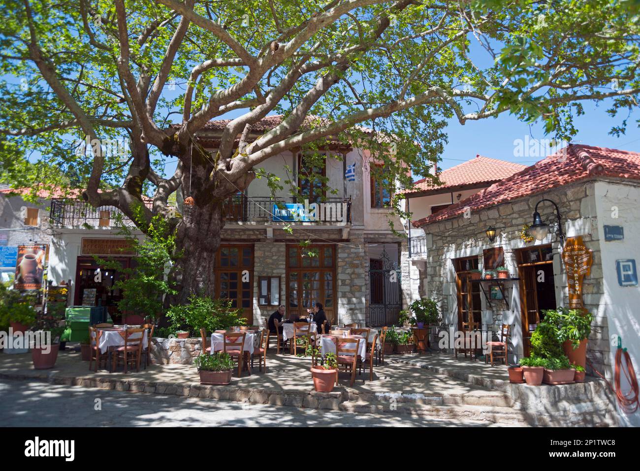 Restaurants unter alten Ebenenbäumen, Kosmas, Arcadia, Peloponnes, Griechenland, Parnon Mountains Stockfoto