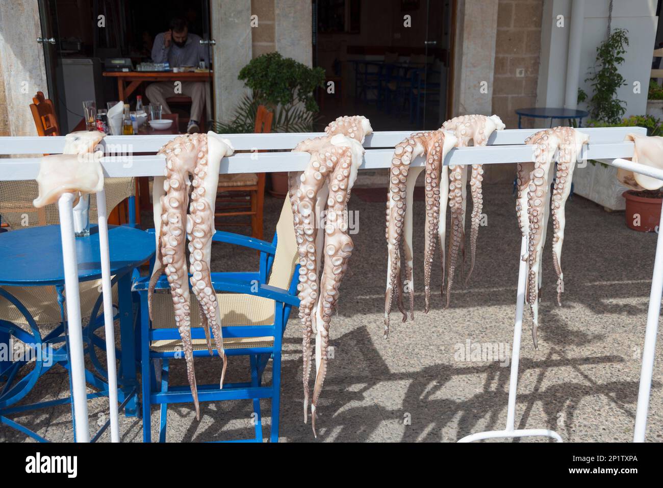 Octopus, Restaurant, Neapoli, Lakonia, Peloponnes, Griechenland Stockfoto