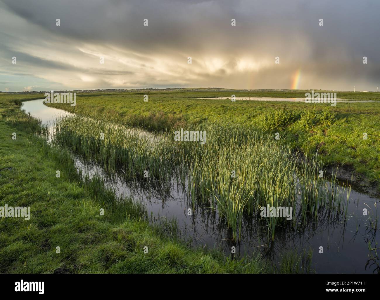 Regenwolken und Regenbogen über Küstenstreifen im Sumpfgebiet, Elmley Marshes N.N.R., North Kent Marshes, Insel Sheppey, Kent, England, Vereinigtes Königreich Stockfoto