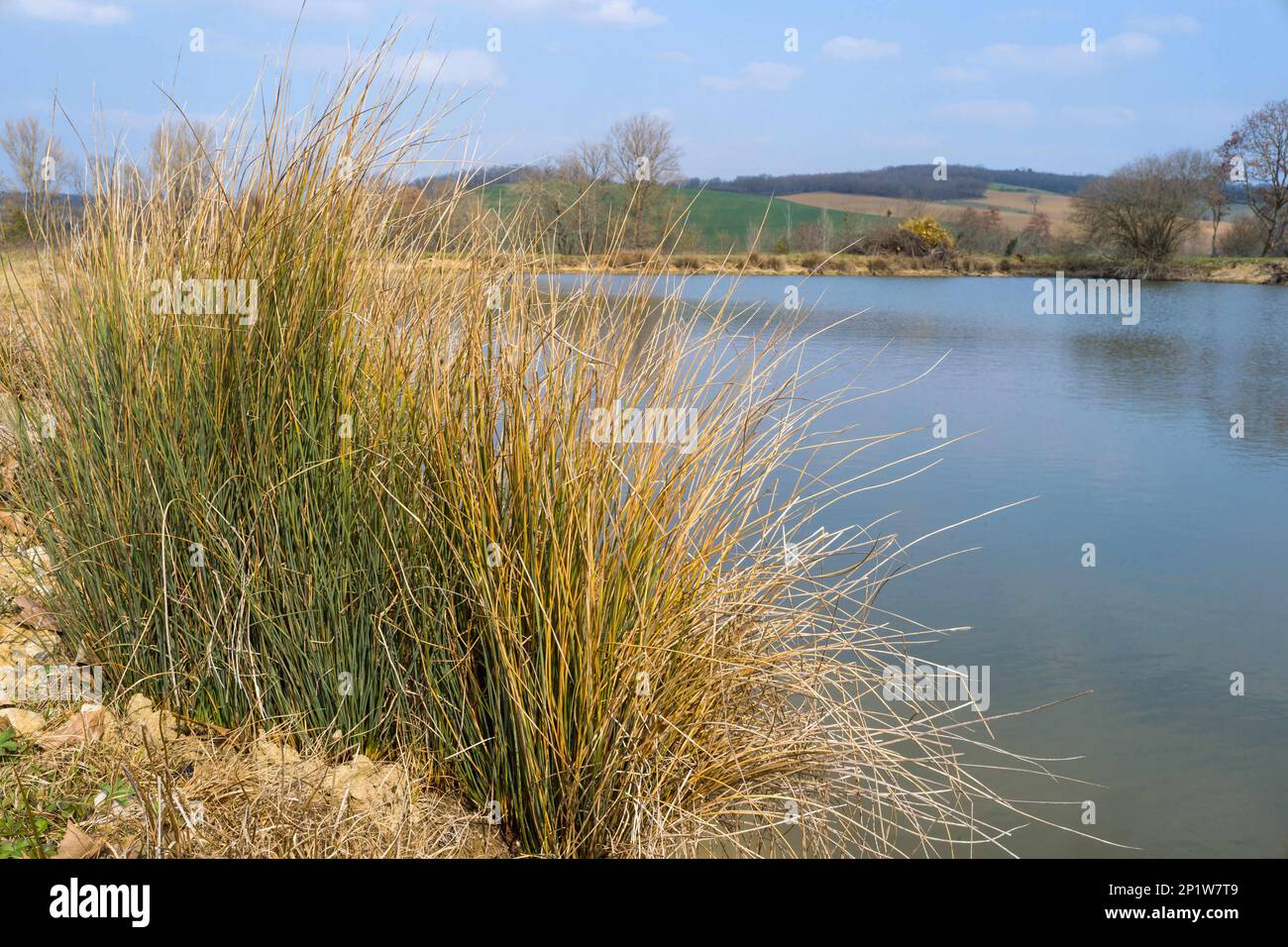 Frankreich. 03. März 2023. Bergreservoir, See, Wasserspeicher in Tarn-et-Garonne. Frankreich, Bourret, 3. März 2023. Foto: Patricia Huchot-Boissier/ABACAPRESS.COM Kredit: Abaca Press/Alamy Live News Stockfoto