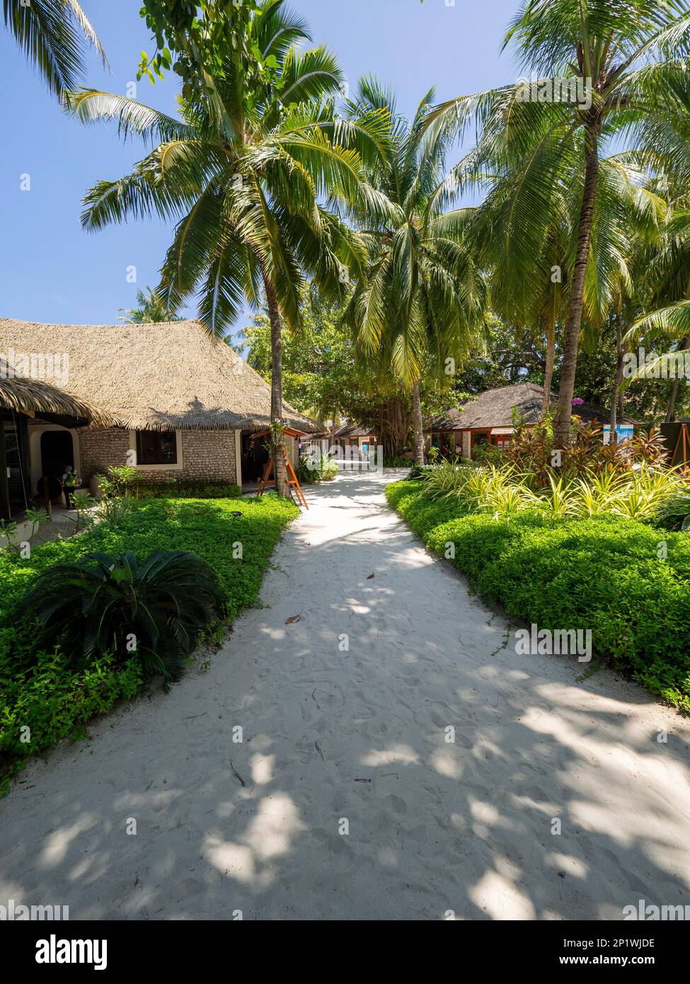 Ferieninsel auf den Malediven, mit Swimmingpool, Hütten und Sonnenliegen, Malediven, Indischer Ozean, Asien Stockfoto