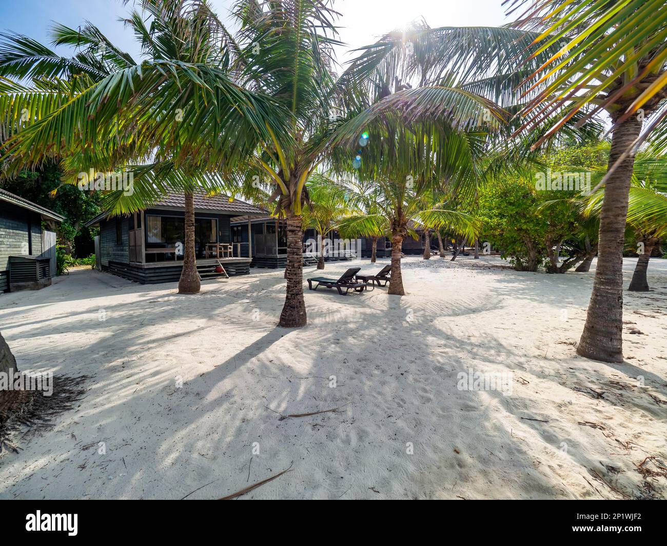Ferieninsel auf den Malediven, mit Swimmingpool, Hütten und Sonnenliegen, Malediven, Indischer Ozean, Asien Stockfoto
