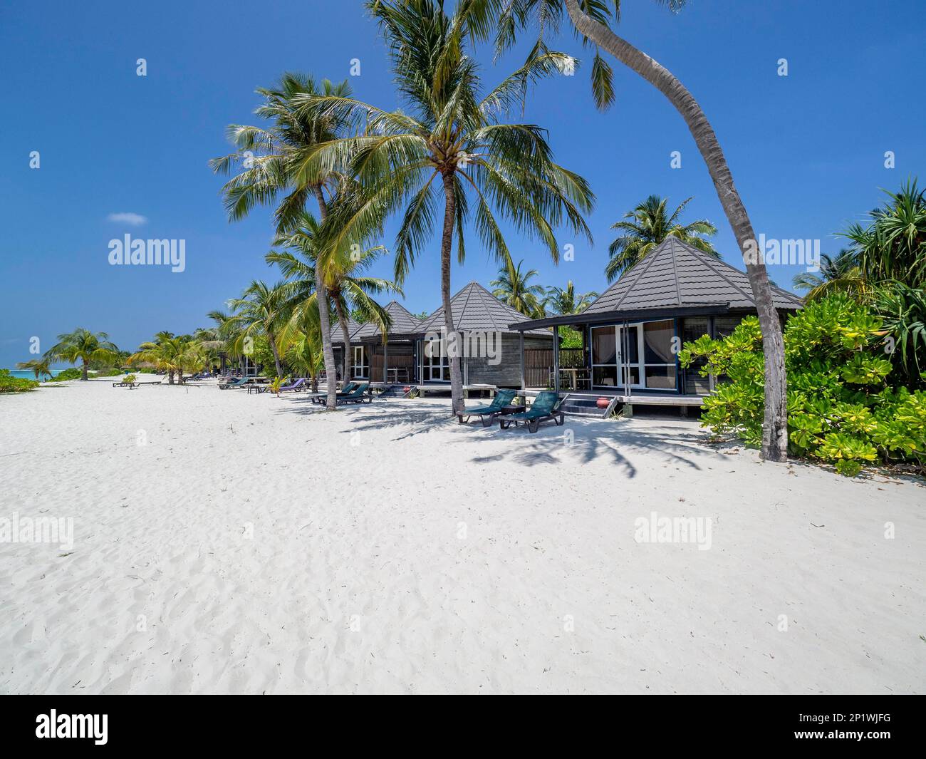 Ferieninsel auf den Malediven, mit Swimmingpool, Hütten und Sonnenliegen, Malediven, Indischer Ozean, Asien Stockfoto