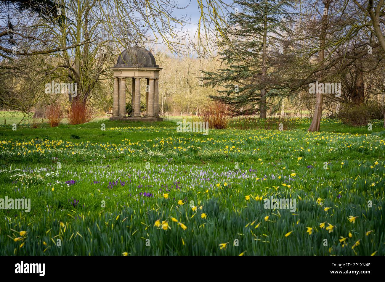 3. März 2023 Dodding Hall Gardens, Doddington, Near Lincoln, Lincolnshire, England, Das Wetter in Großbritannien, die Gärten, die farbenfrohe Szene heute in den Doddington Hal Gardens in der Nähe von Lincoln, das derzeit für den Spring Bulbs Pageant geöffnet ist. Der Frühlingsball-Wettbewerb wurde in den 1950er von Ralph und Antonia Jarvis gestartet. Ein spektakuläres Angebot an Frühlingszwiebeln, das Anfang Februar mit wunderbaren Schneeflocken und Winterakoniten, Cyclamen coum und Crocus tommasinianus beginnt und bis März und Anfang April mit Lilien und unserer einzigartigen Sammlung von historischen Narzissen (einschließlich) fortgesetzt wird Stockfoto