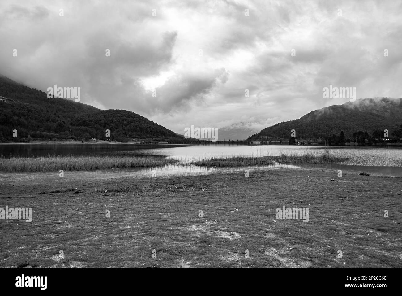 Berglandschaft mit geschnittenen Baumstämmen Stockfoto