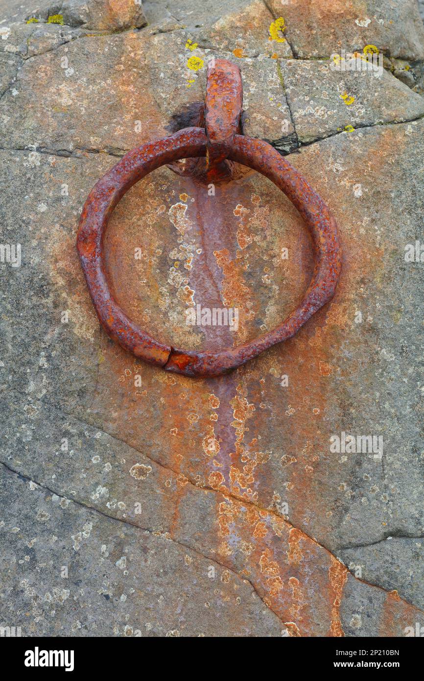 Nahaufnahme eines rostigen alten Anlegerrings in Linisfarne, Holy Island, Northumberland, England, Großbritannien. Stockfoto