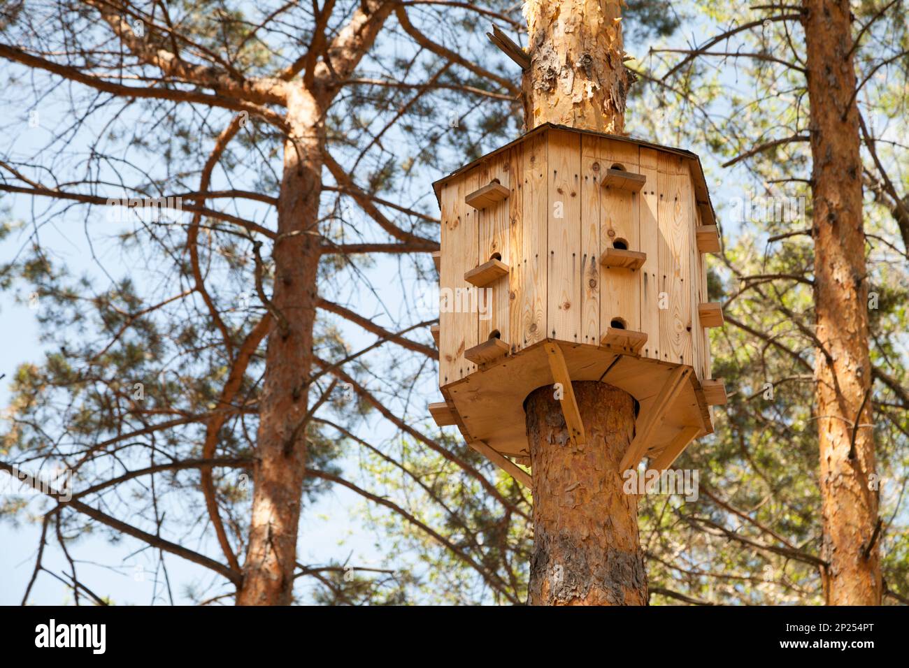 Großes Vogelhaus mit vielen Windows auf einem Baum. Vogel Mehrfamilienhäuser Eigentumswohnung in einem Park Stockfoto