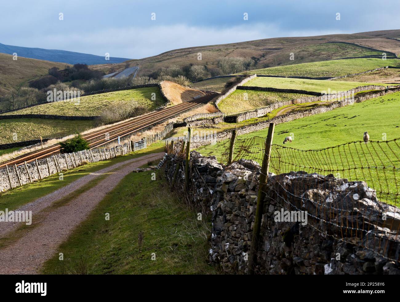 Wintersonnenlicht auf der Settle-Carlisle-Bahnlinie in Greengates, Birkett Common, in der Nähe von Kirkby Stephen. Cumbria. Stockfoto