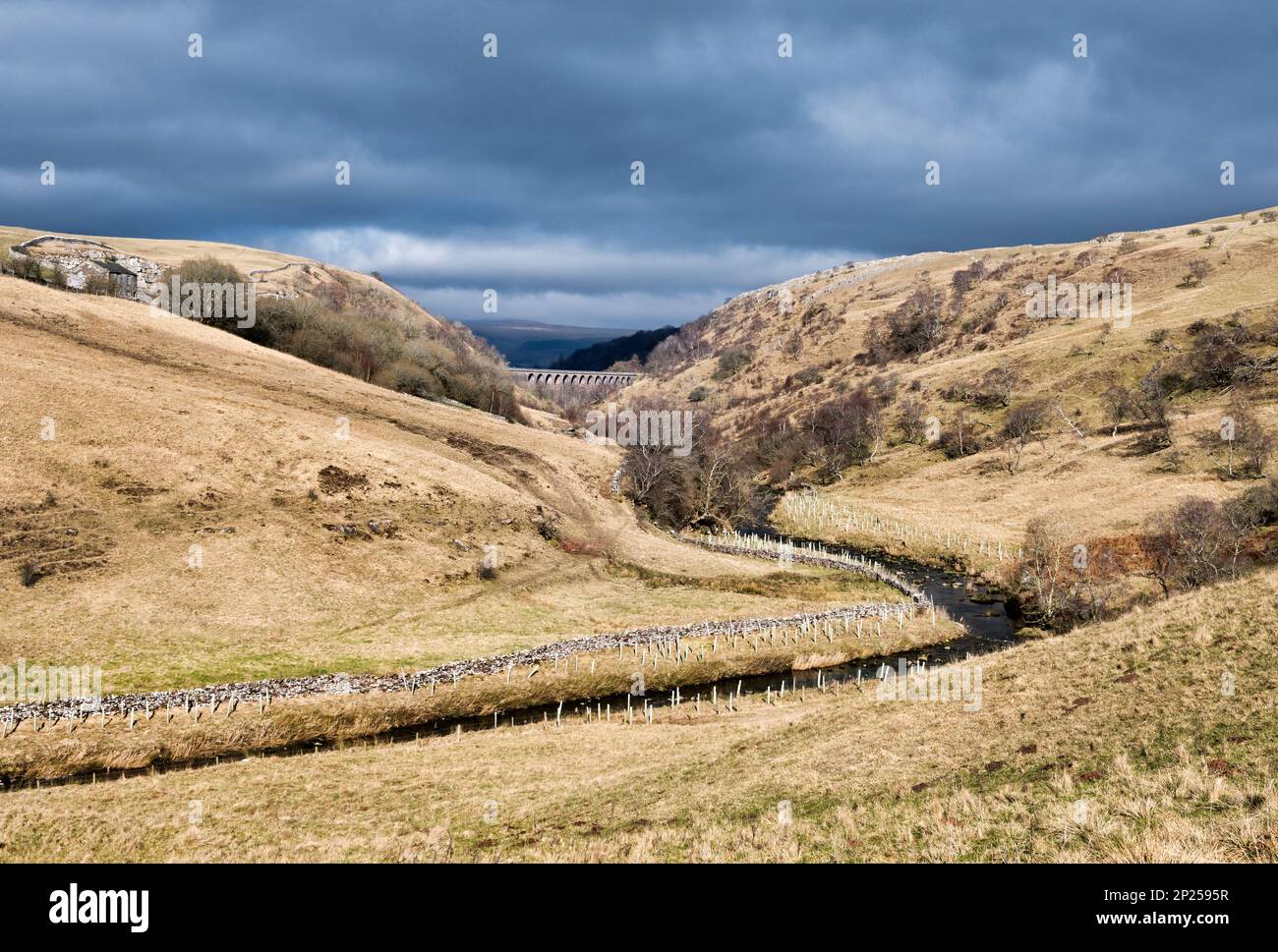 Das stillgelegte Smardale Viaduct ist Teil eines Naturschutzgebiets in der Nähe von Kirkby Stephen, Cumbria, Großbritannien Stockfoto