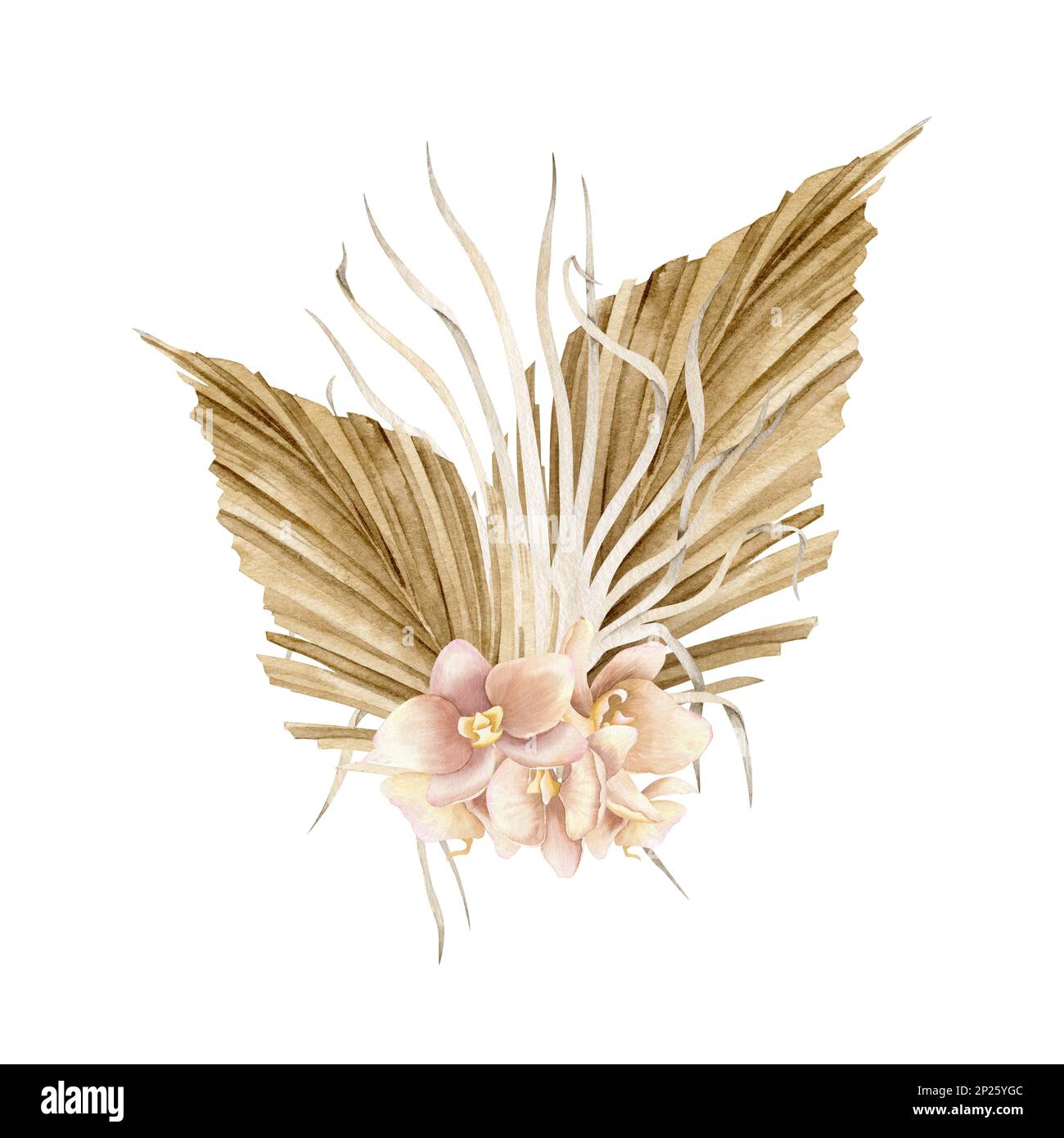Getrocknete Blumen im Boho-Stil. Handgezeichnete Aquarelle auf isoliertem Hintergrund für Grußkarten oder Hochzeitseinladungen. Böhmischer cremiger Bouquet mit trockenen Palmenblättern in blassrosa Orchideen. Stockfoto
