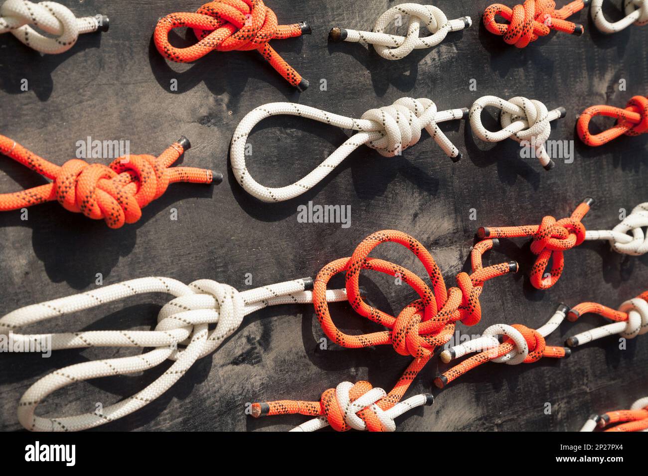 Viele Arten von Knoten auf einem Display gezeigt. Verschiedene Methoden zur Befestigung und Sicherung Seile Stockfoto