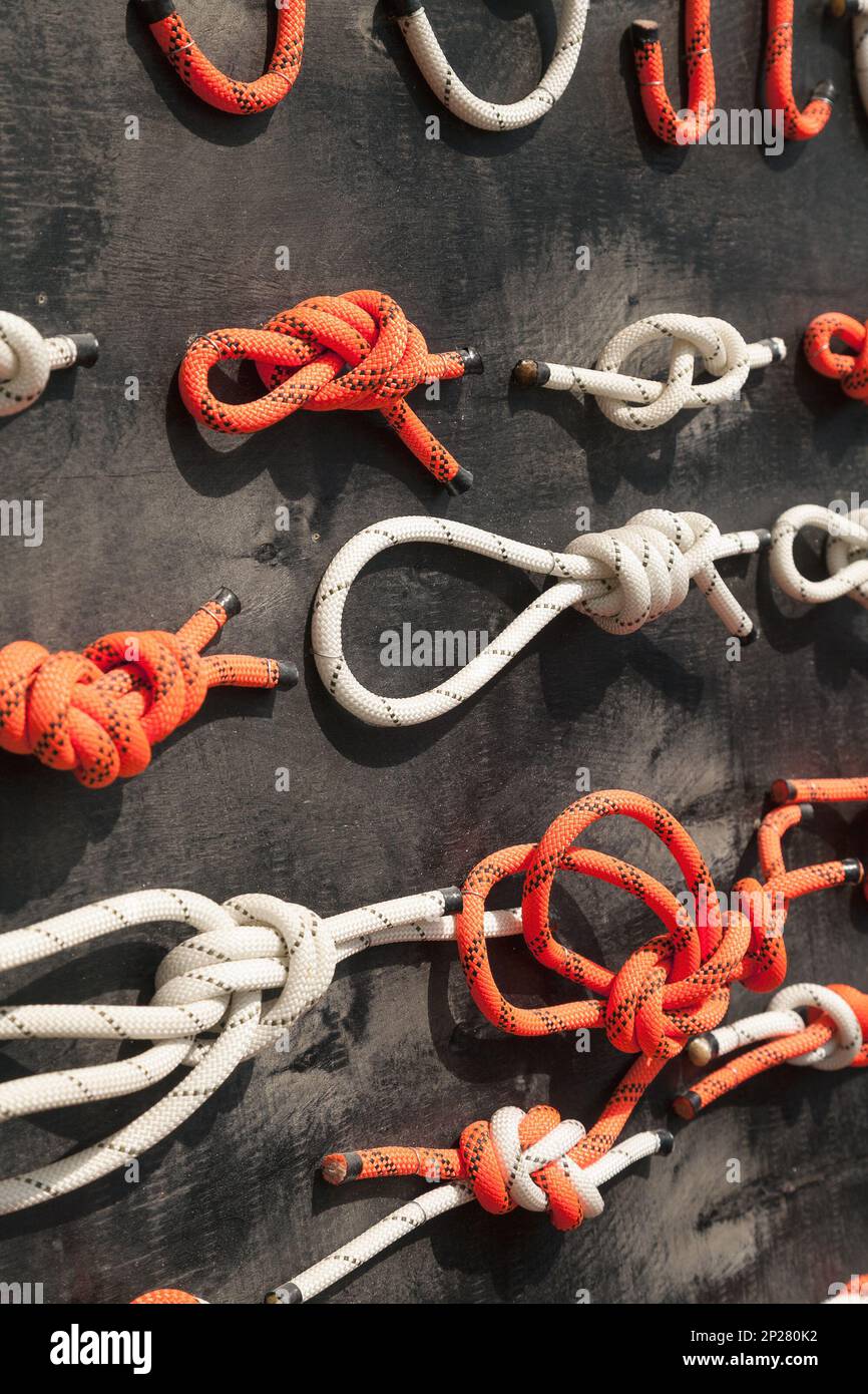 Viele Arten von Knoten auf einem Display gezeigt. Verschiedene Methoden zur Befestigung und Sicherung Seile Stockfoto