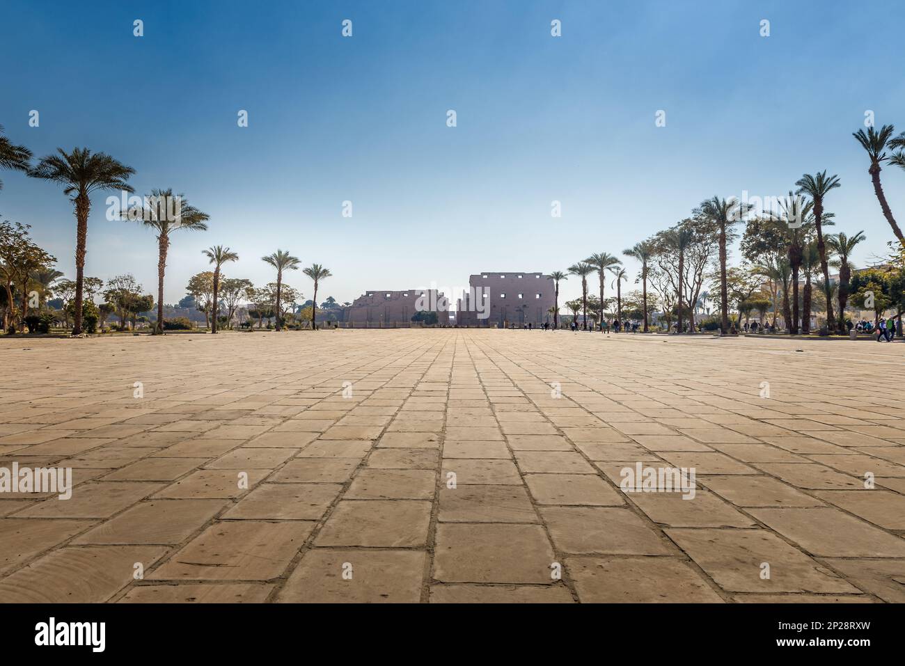 Schäbiger Ort mit Palmen vor dem Tempel in Karnak, Luxor Ägypten Stockfoto