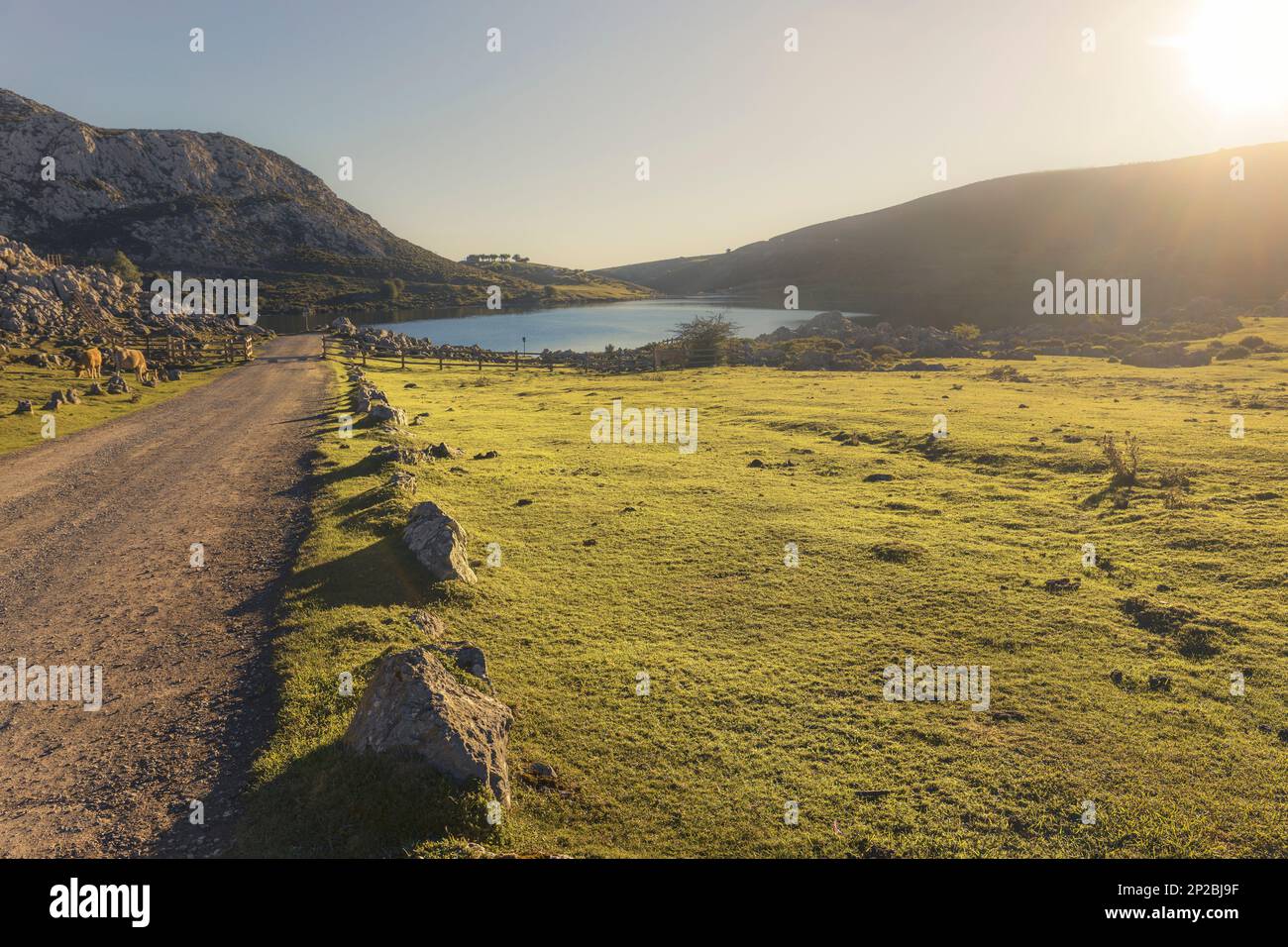 Ein atemberaubender Sonnenaufgang in Asturien, Spanien an den Covadonga Lakes Eine ruhige Landschaft mit sanften Hügeln, gesäumt von einem ruhigen See, umgeben von üppiger Wildnis Stockfoto