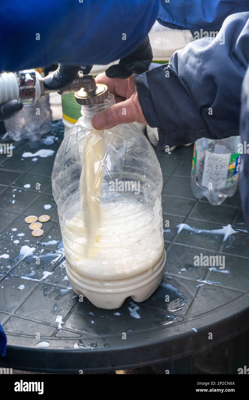 Füllen Sie die große Flasche mit frischer Milch. Milchbauern protestieren gegen niedrige Milchpreise, indem sie sie kostenlos verschenken. Stockfoto