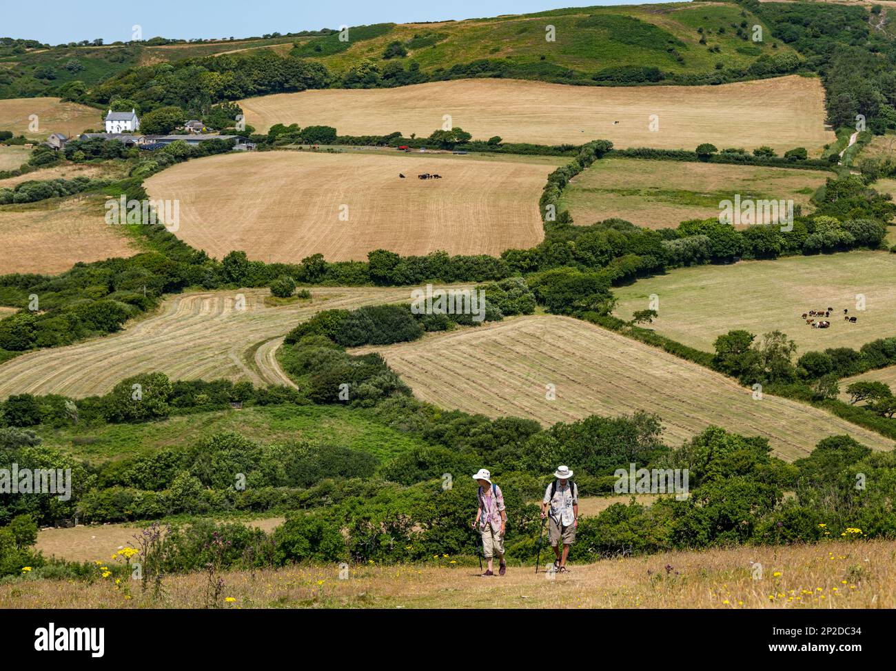 Ältere Ehepaare, die während der Sommerhitzewelle bergauf laufen, Dorset, England, Großbritannien Stockfoto