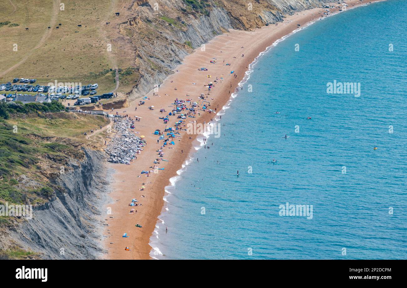 Blick auf den Seatown Beach von oben am Golden Cap an der Jurassic Coast, Dorset, England, Großbritannien Stockfoto