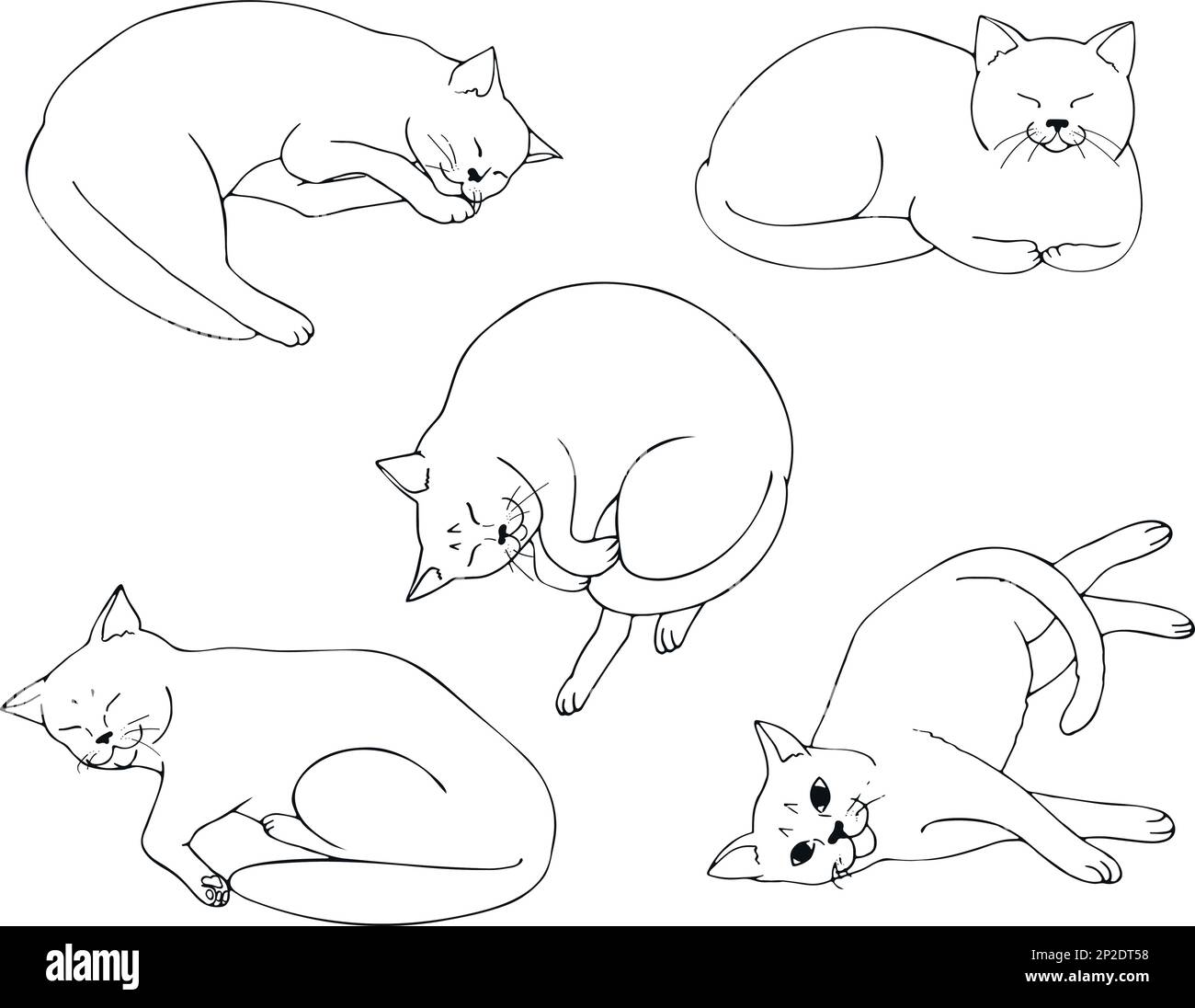 Süße weiße Katze liegt in verschiedenen Positionen. Set von Katzenpositionen. Katzenposieren. Katzen. Skizzieren. Vektorgrafik. Stock Vektor