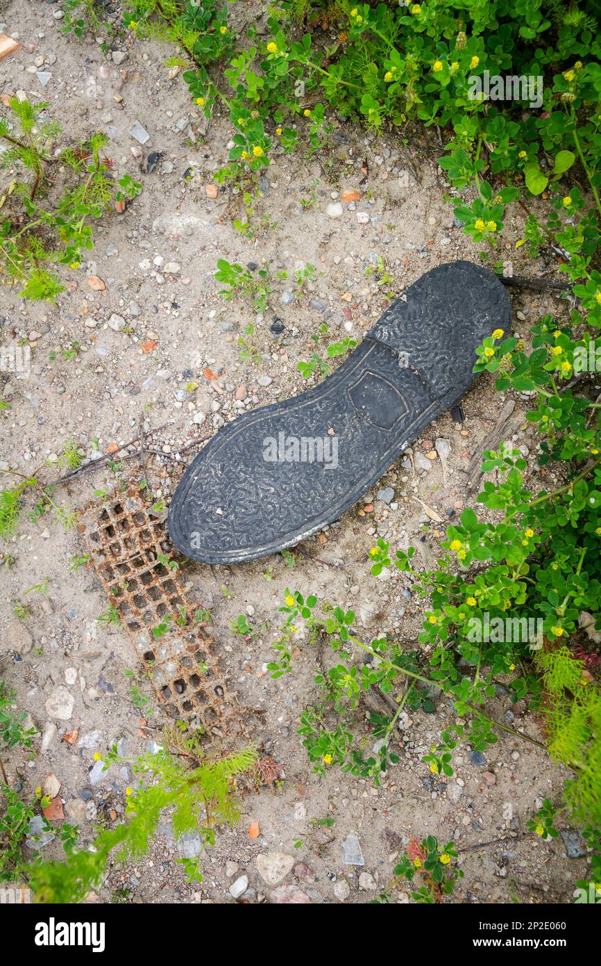 Die alte schwarze Gummisohle liegt auf dem Boden. Ökologiekonzept. Stockfoto