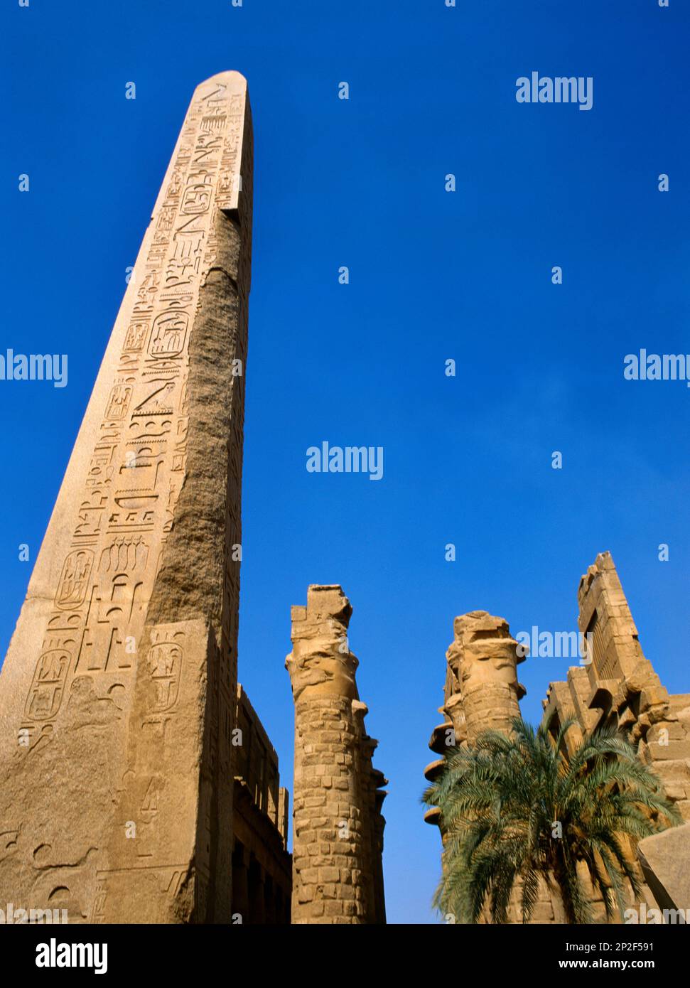 Karnak Ägypten Obelisk von Tuthmose I. im Bezirk Amun-Re Stockfoto