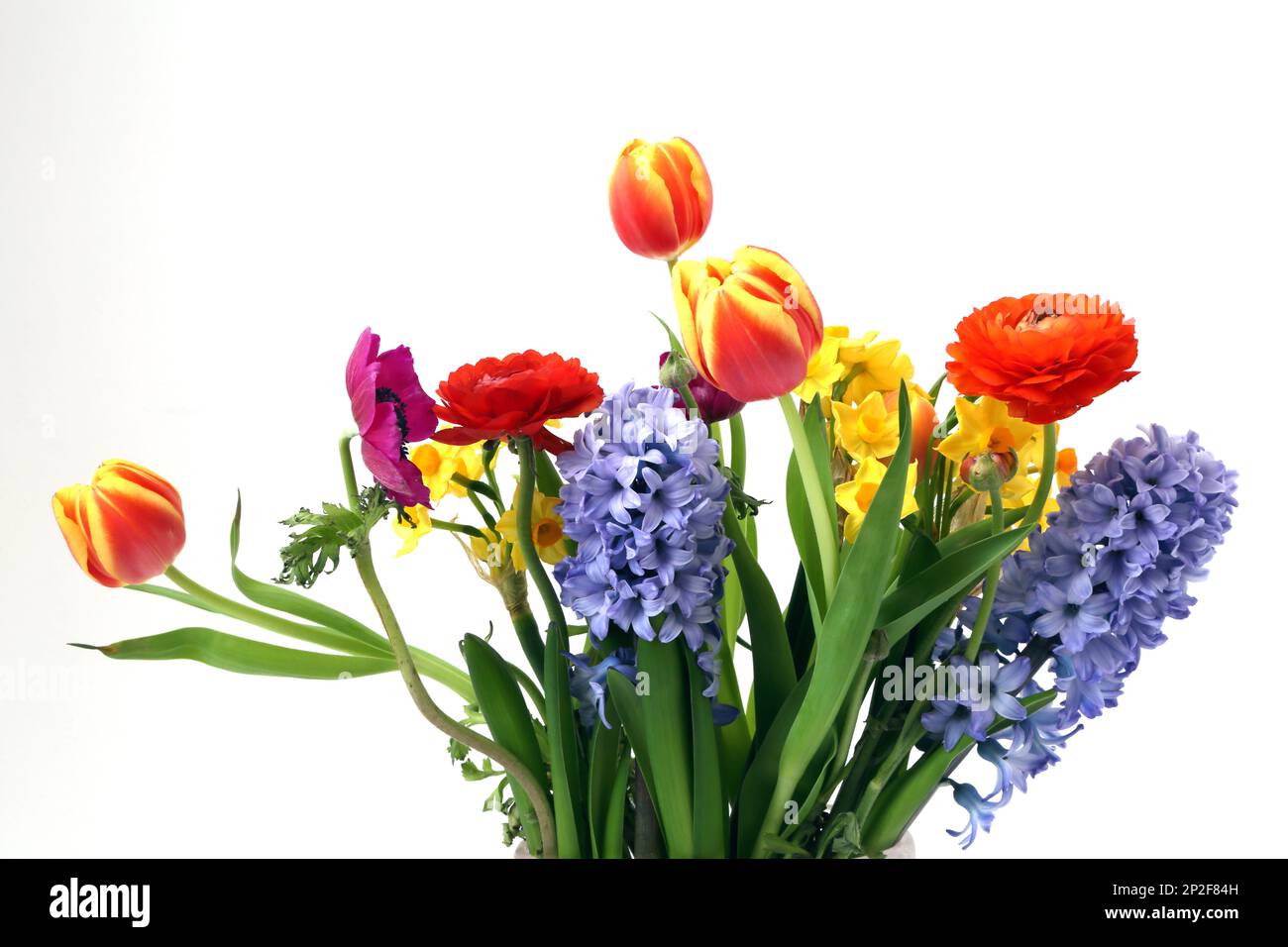 Blumenstrauß - Hyazinthen, Narzissen, Tulpen und Rosen Stockfoto
