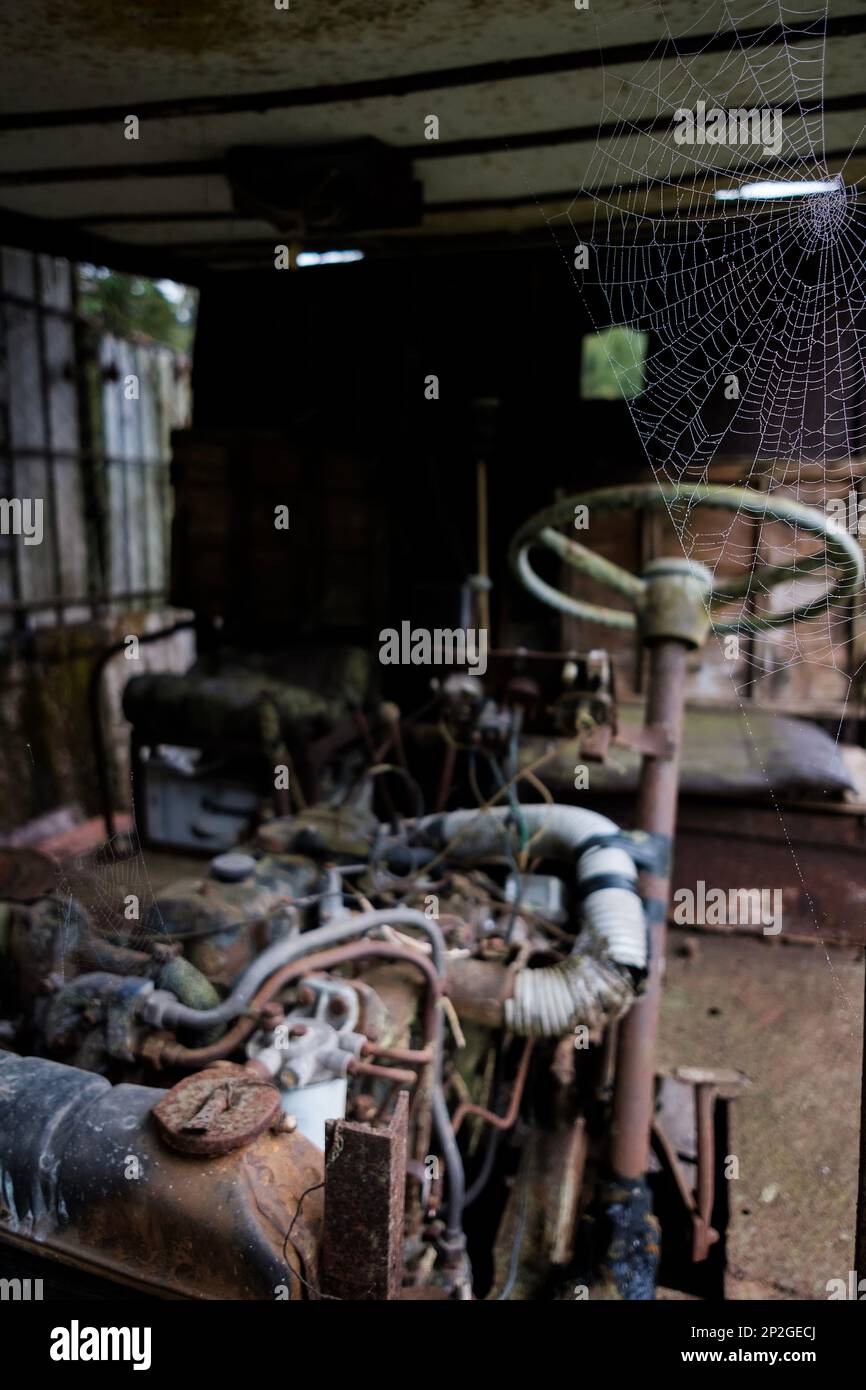 Altes, verlassenes, verlassenes Auto, das mit einem Spinnennetz am Hauptrahmen des Fensters sitzt Stockfoto