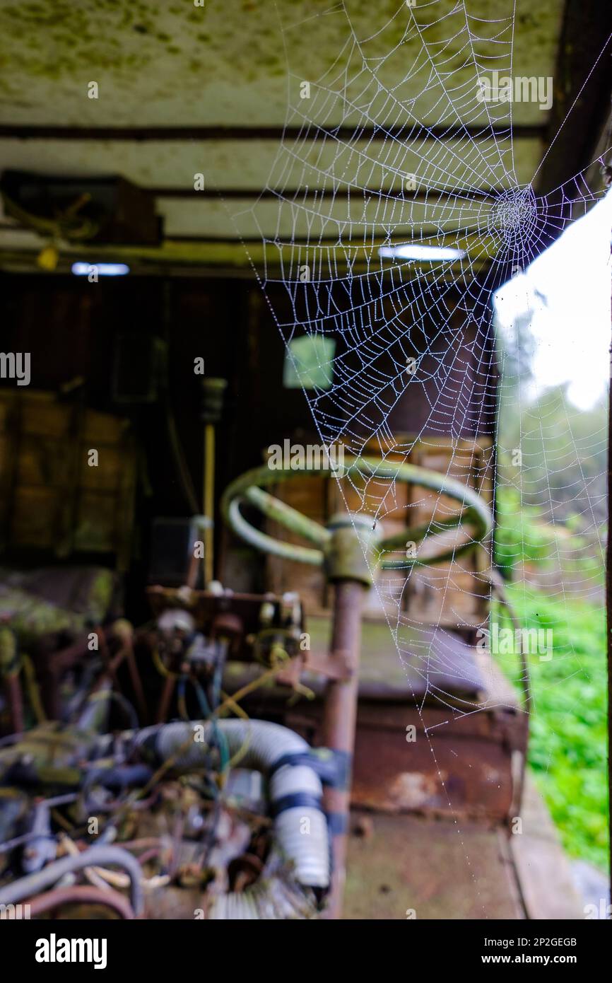Altes, verlassenes, verlassenes Auto, das mit einem Spinnennetz am Hauptrahmen des Fensters sitzt Stockfoto