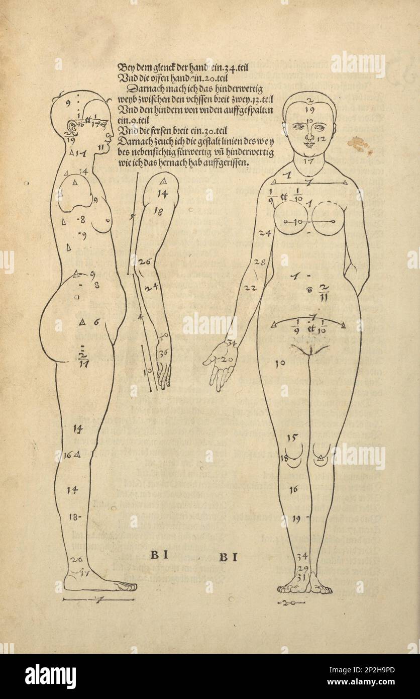 Illustration aus den vier Büchern über die menschliche Proportion, 1528. Private Sammlung. Stockfoto