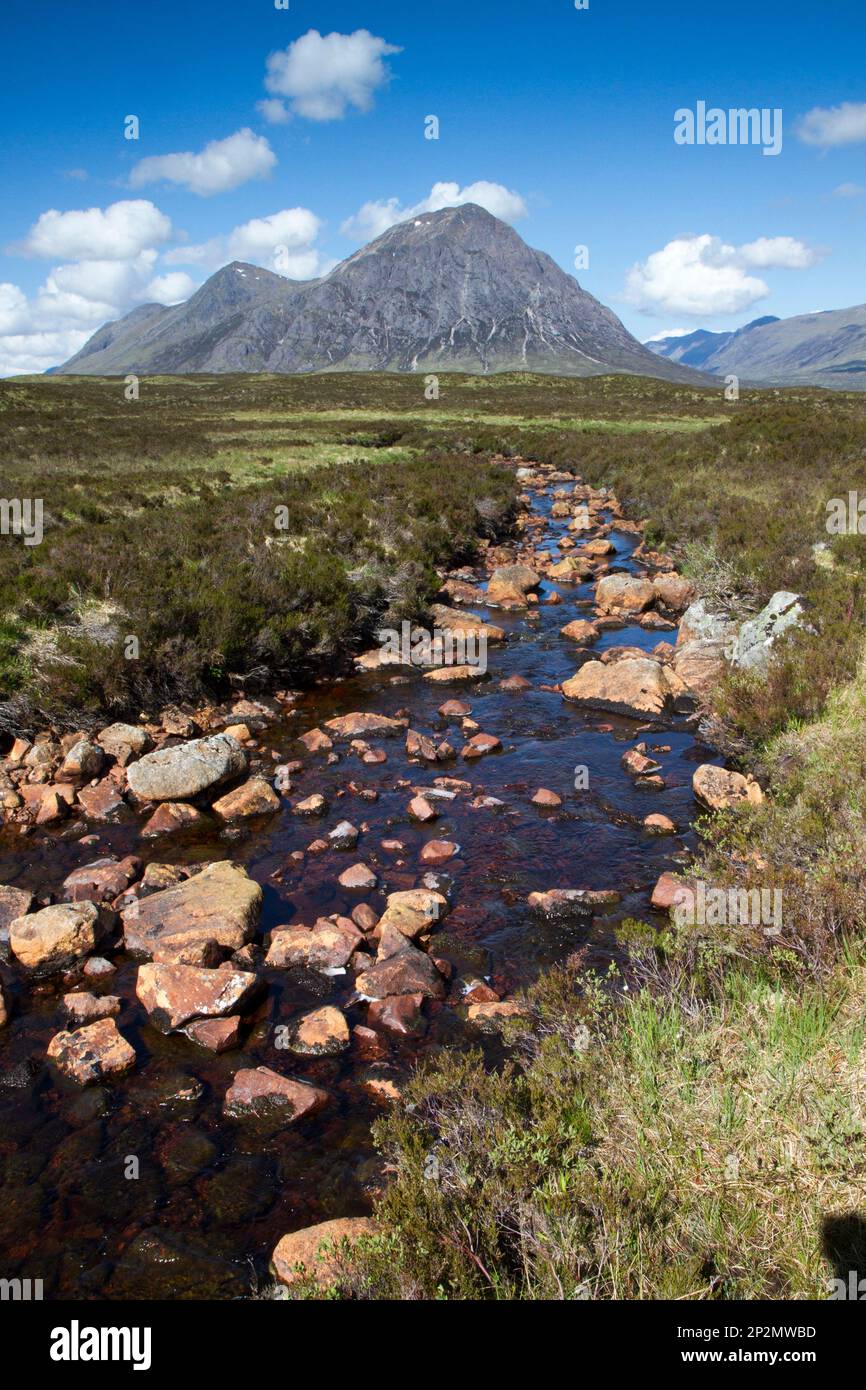 Buachaille Etive Mor, Schottland Stockfoto