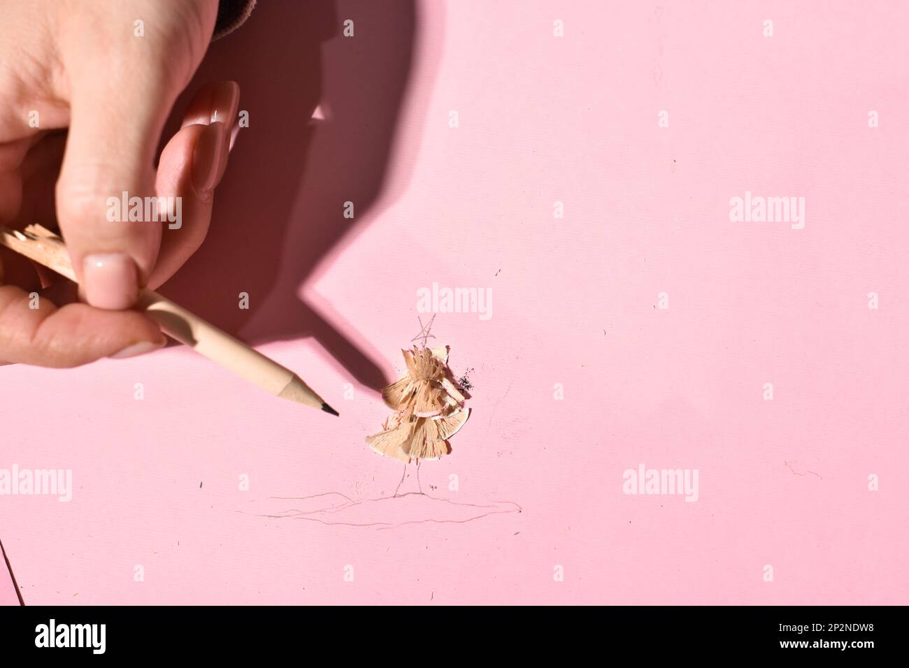 Eine Frau mit Handschwanz, ein rosafarbener Bleistift-Makroschuss. Stockfoto