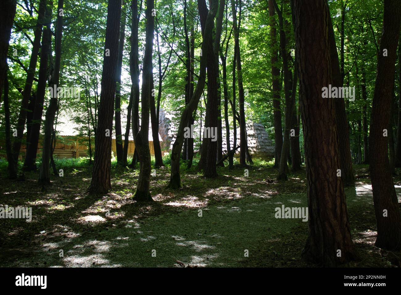 Der Museumskomplex Muzeul Astra in Sibiu, Rumänien, zeigt rumänische Mühlen und die Geschichte der Landwirtschaft. Stockfoto