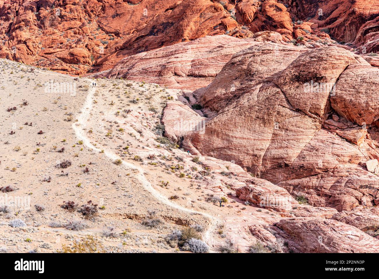 Der steile Wanderweg führt in die zerklüftete Wildnis des Red Rock Canyon in Las Vegas, Nevada, und bietet Zugang zu Freizeitwanderern und all denjenigen, die dies wünschen Stockfoto