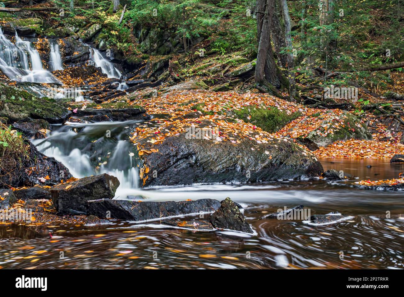 Das Wasser stromabwärts von den fotogenen Potts Falls bewegt die herbstlichen Herbstblätter in chromatischen Wirbeln und Wirbeln. Stockfoto