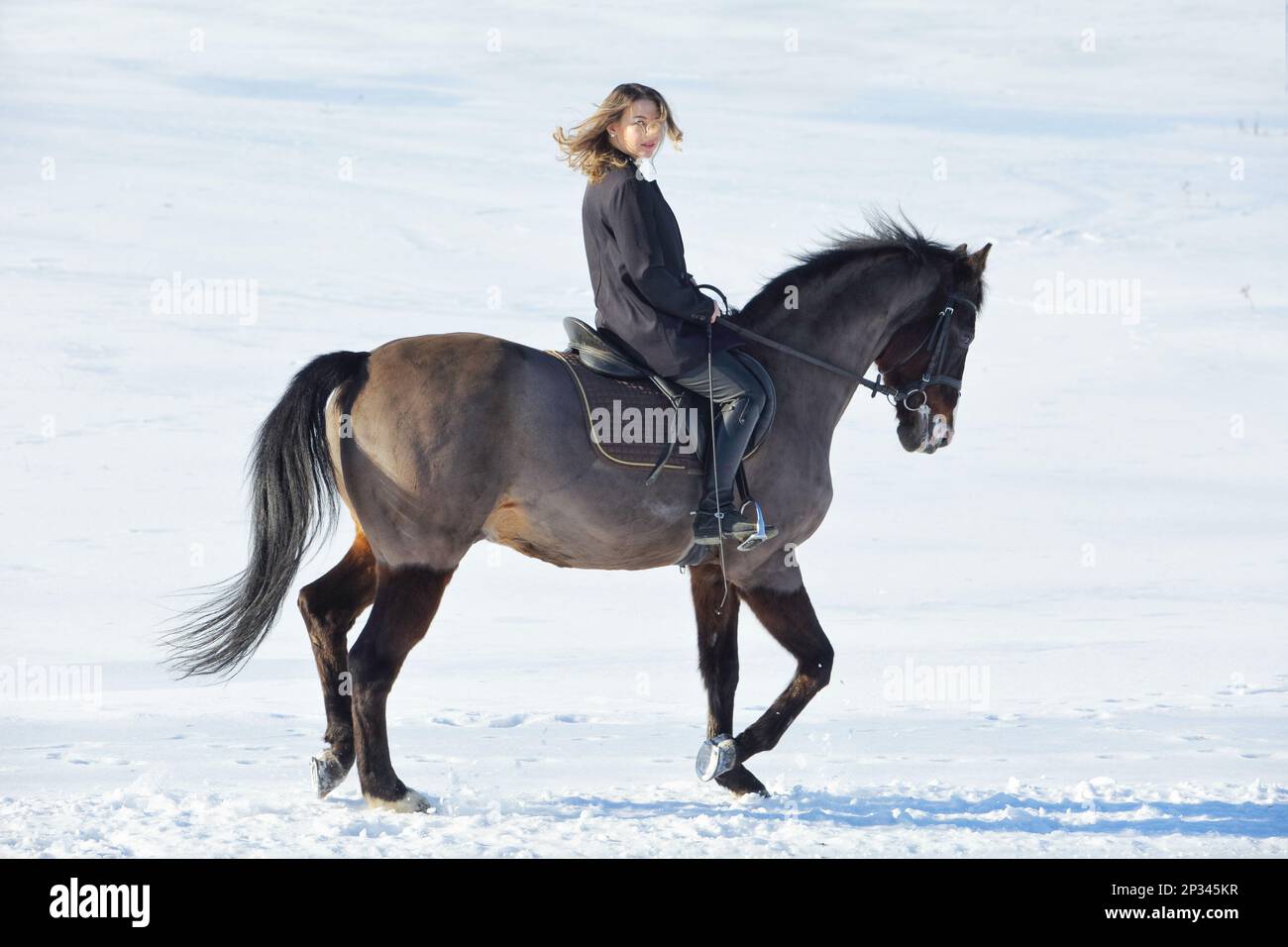 Reiten Land Mädchen reiten ihr Pferd in Winterfeldern Stockfoto