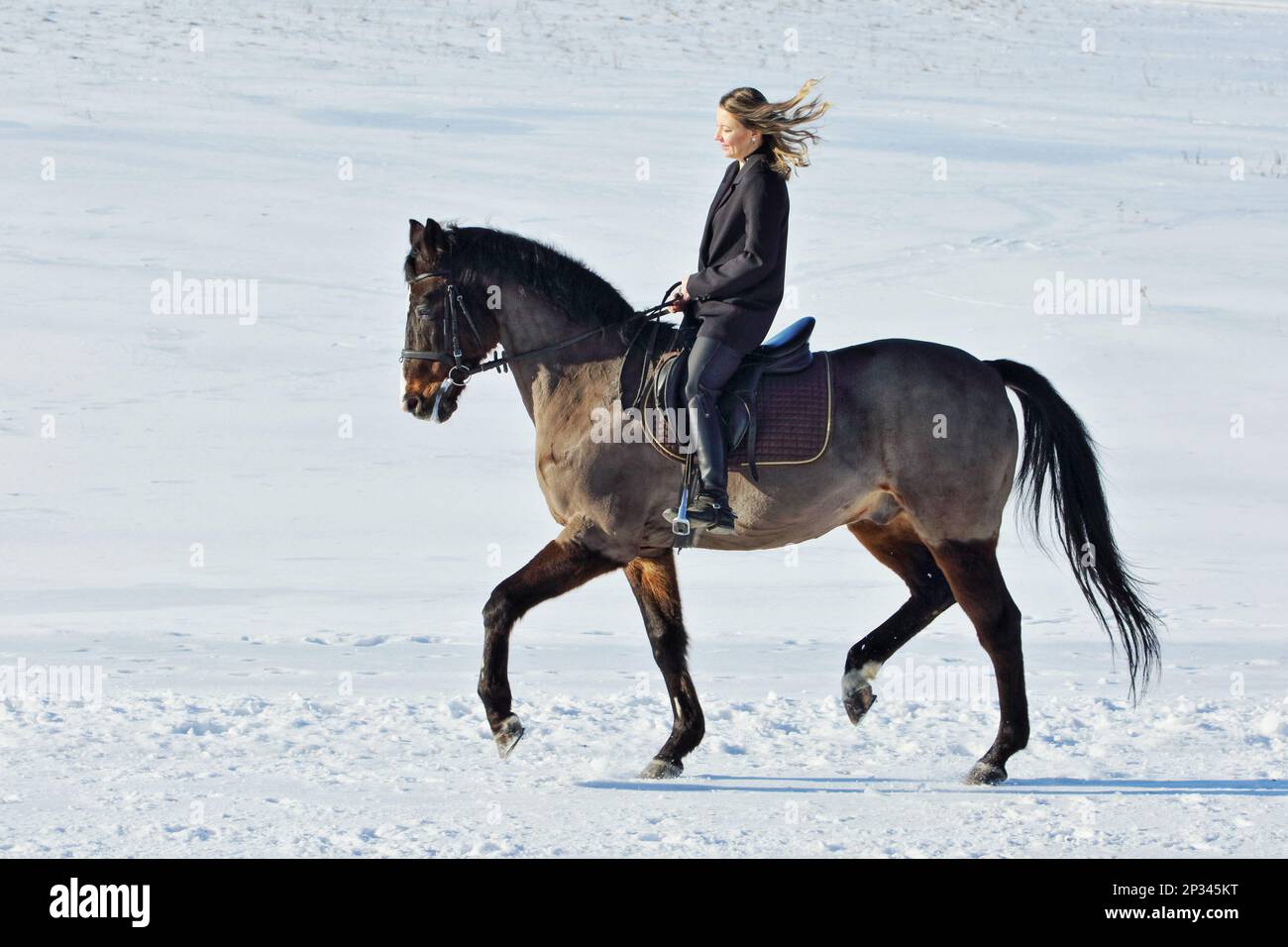 Reiten Land Mädchen reiten ihr Pferd in Winterfeldern Stockfoto