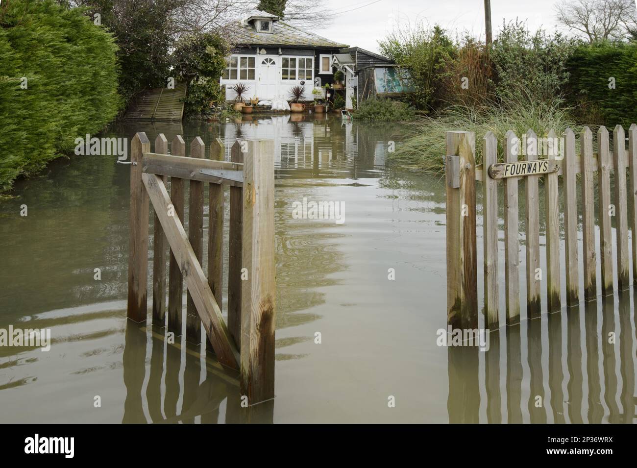 Überschwemmungen im Hausgarten während der Überschwemmung, Themse, Chertsey, Surrey, England, Februar 2014 Stockfoto