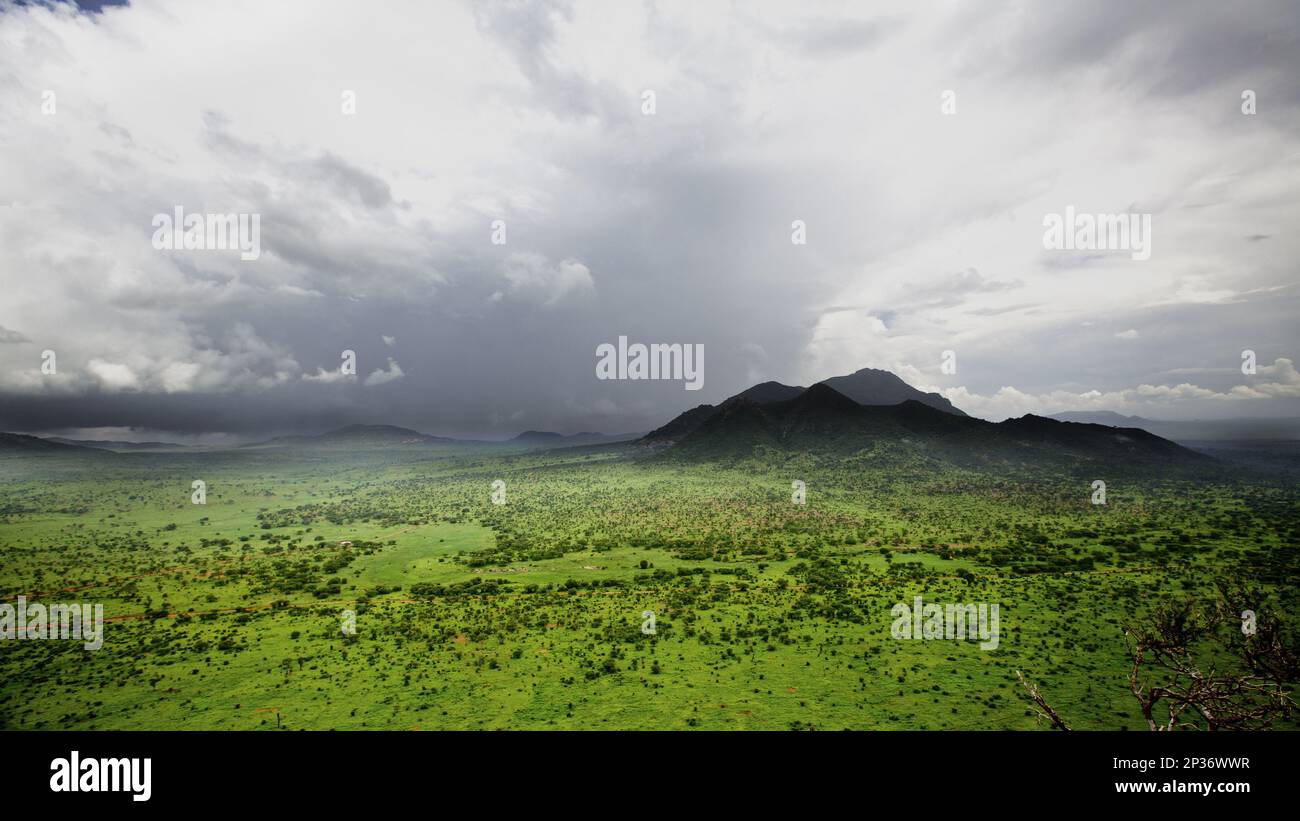 Blick auf den Lebensraum der Savanne, Tsavo West N. P. Kenia Stockfoto